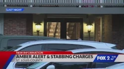 Before kidnapping daughter, man stabbed mother 30 times: Police