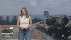At least 12 dead and 23 missing due to the forest fire in Los Gallardos