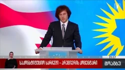 საკონსტიტუციო სარჩელი - პრემიერის კომენტარი