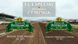 PROGRAMA ESPECIAL "PRIMERA CORONA 2026"