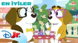 Mini Bölümler | Bluey | @DisneyPlusTR