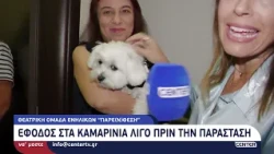 Μπήκαμε στα καμαρίνια της παράστασης "6 πρόσωπα ζητούν συγγραφέα", λίγο πριν βγουν στη σκηνή