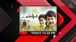 പ്രവാസികളുടെ  ഗൾഫ് കുടിയേറ്റവും ത്യാഗങ്ങളും ജീവിതവും പച്ചയായി ഒപ്പിയെടുത്ത മമ്മൂട്ടി ചിത്രം