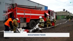 Large-scale exercise