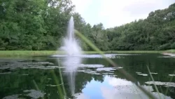 Stormwater Pond Inspection