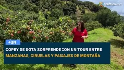 Copey de Dota surprises with a tour among apples, plums, and mountain landscapes