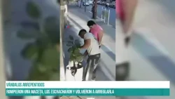 Rompieron una maceta, los escracharon y volvieron a arreglarla #canal7salta