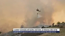 Zjarret shkrumojnë mijëra hektarë, 68 persona nën hetim