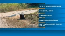 Washington County Sheriff's Office says numerous mailboxes damaged overnight
