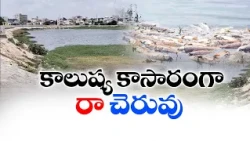 టన్నుల కొద్ది చేపలు మృతి ఈ పాపం ఎవరిది?