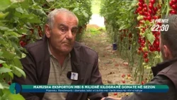 Promo - Toka - Mamusha eksporton mbi 6 milionë kilogramë domate në sezon