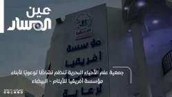 جمعية علم الأحياء البحرية تنظم نشاطًا توعويًا لأبناء مؤسسة أفريقيا للأيتام - البيضاء