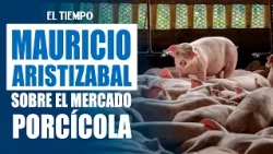 Manager of Andina de Tecnologías speaks about challenges in the pork industry | EL TIEMPO