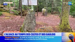 Alsace in the time of the Celts and Gauls