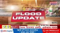 এজাক বৰষুণত পুনৰ গুৱাহাটীৰ কৃত্ৰিম বানৰ বাস্তৱ ছবি উন্মোচন