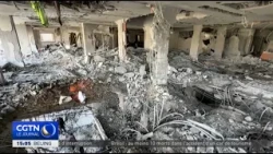 Gaza peace plan: Eight Islamic countries condemn Israel's rejection