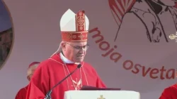 MISA - Blaženi Miroslav Bulešić  24.08.2026.