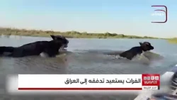 تدفقات الفرات تتضاعف أربع مرات.. العراق يعلن خطة جديدة لإدارة موارده المائية