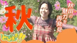 とびまめっ!!　秋の景色を堪能！秋田の魅力を再発見ツアー　2026年10月2日放送分