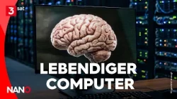 The Future of AI: Computers Made from Real Brain Cells | NANO