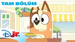 Omlet | Bluey | @DisneyPlusTR