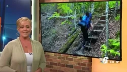 The Big Picture - Part 2