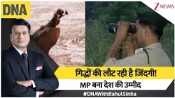 DNA With Rahul Sinha: गिद्धों की लौट रही है जिंदगी! MP बना देश की उम्मीद | Vultures conservation
