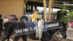 Vaulting: The Art of Combining Sport, Equestrianism, and Animal Welfare - TvAgro by Juan Gonzalo ...