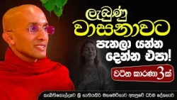 ලැබුණු වාසනාවට පැනලා යන්න දෙන්න එපා! | මහමෙව්නාව භාවනා අසපුව - කැබිතිගොල්ලෑව...