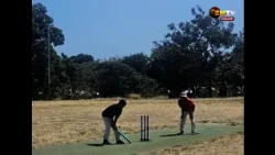 LIKLIK CRICKET SMASH