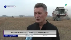 Мол өнім  - мемлекеттік қолдаудың нәтижесі