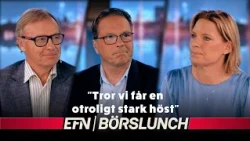 Fjärde juli på börsen: Närmar sig AI-raketen toppen?
