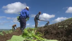 For a better and more sustainable food future for all