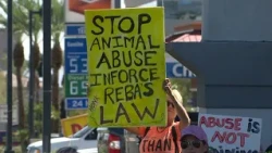 Protest greets new dog training academy at former rescue site