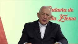Word of Eternal Life - 08/04/2026 - Mt 15:1-2, 10-14