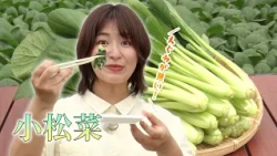 JA京都やましろ「小松菜」山本貴嗣さん (久御山町)｜KBS京都テレビ「あぐり京都」 2026年6月放送