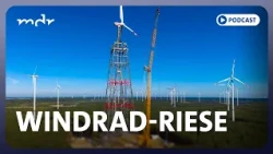Das Weltrekord-Windrad – Chancen und Risiken | Podcast ARD Klima Update | MDR