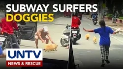 Fur babies, ginawang playground ang kalsada