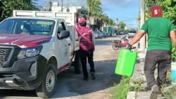The cleanup campaigns on the island continue.