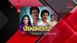 സൂപ്പർസ്റ്റാർ മോഹൻലാലും മെഗാസ്റ്റാർ മമ്മൂട്ടിയും ഒന്നിച്ച സൂപ്പർഹിറ്റ്! 'അനുബന്ധം'