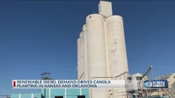 Facility wants to entice Kansas farmers to plant canola, citing economic benefits
