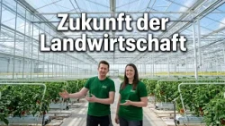 This Viennese vegetable farm is one step ahead of the future