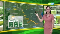 THỜI TIẾT NÔNG VỤ THÁI BÌNH 21/06/2025 - Thái Bình TV