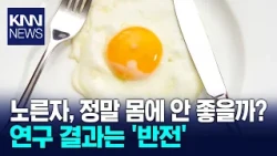 Are Egg Yolks Really Unhealthy? A Surprising Twist in Research / KNN
