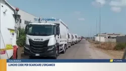 Long lines to drop off organic waste