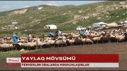 Naxçıvanda fermerlər obalarda məskunlaşıblar