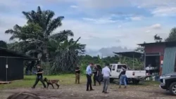 OIJ arrests sister of alias Diablo and judicial official