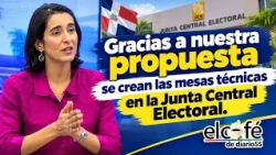The Central Electoral Board accepted our proposal and created working groups; Virginia Antares.