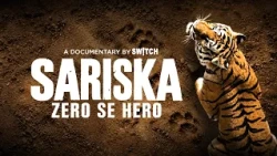 Sariska Tiger Reserve: From Zero to Hero | The Biggest Comeback