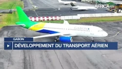 Gabon : coopération envisagée entre Fly Gabon et Air France